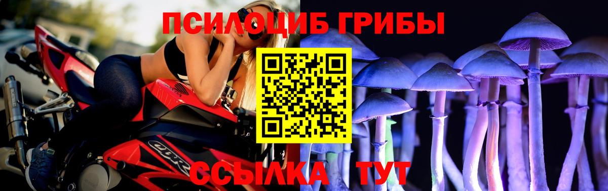 Галлюциногенные грибы Magic Shrooms  Вход с VPN  Сальск  Галлюциногенные грибы Cubensis 